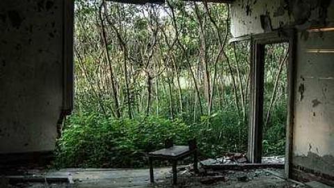 Photo from July 2017