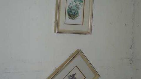 Ramalamadingdong - Rama-Road-Wreck4.jpg