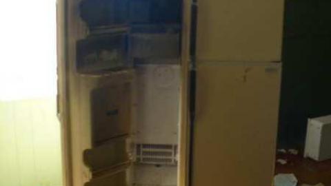 Rama Road Wreck photo 5