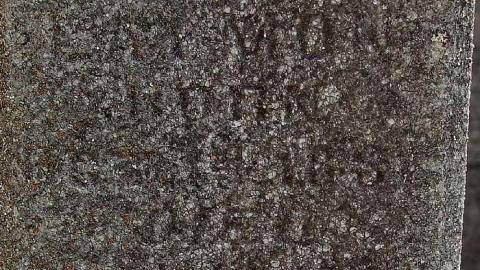 Crop Dusting Then Crop Editing - Morden-Pioneer-Cemetery6.jpg