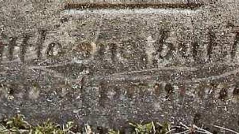 Crop Dusting Then Crop Editing - Morden-Pioneer-Cemetery29.jpg