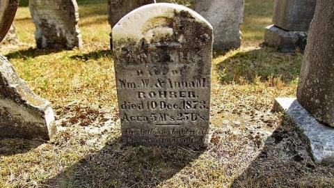 Crop Dusting Then Crop Editing - Morden-Pioneer-Cemetery7.jpg