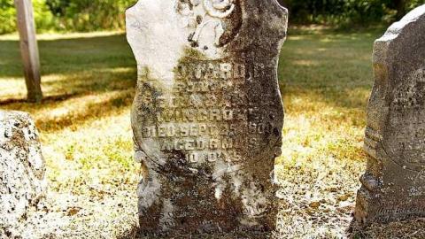 Crop Dusting Then Crop Editing - Morden-Pioneer-Cemetery21.jpg