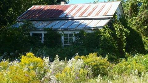 Longford Mills (Historic site) cover photo