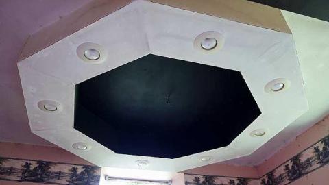 Finding Nemo '17 - DSC04068.jpg