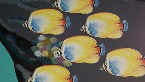 Finding Nemo '17 - DSC04075.jpg