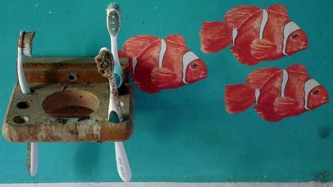 Photo from Finding Nemo '17