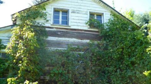 Longford Mills - Longford-Mills-(Historic-site)2.jpg