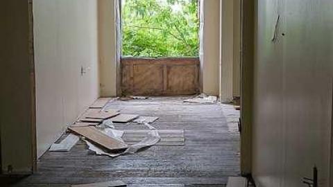 Photo from Finding Nemo '17