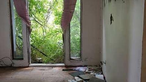 Finding Nemo '17 - DSC04108.jpg