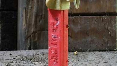 Finding Nemo '17 - DSC04121.jpg