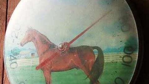 Finding Nemo '17 - DSC04131.jpg