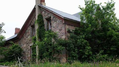 Finding Nemo '17 - DSC04147.jpg