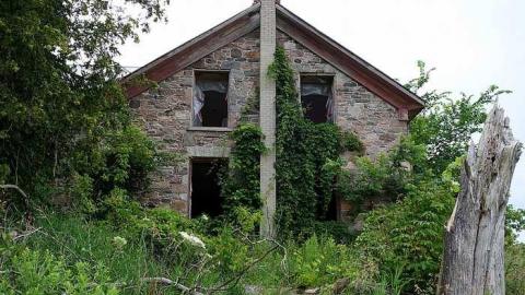 Finding Nemo '17 - DSC04151.jpg