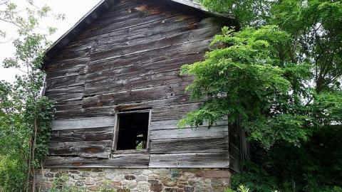 Finding Nemo '17 - DSC04154.jpg