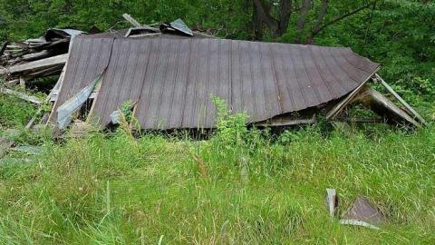 Finding Nemo '17 - DSC04156.jpg