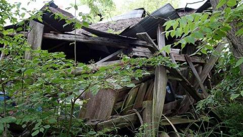 Finding Nemo '17 - DSC04157.jpg