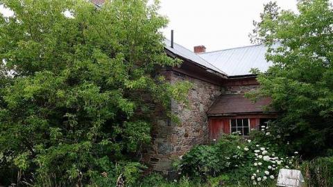 Finding Nemo '17 - DSC04161.jpg