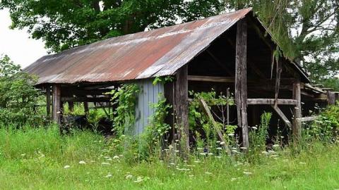 Photo from August 2017