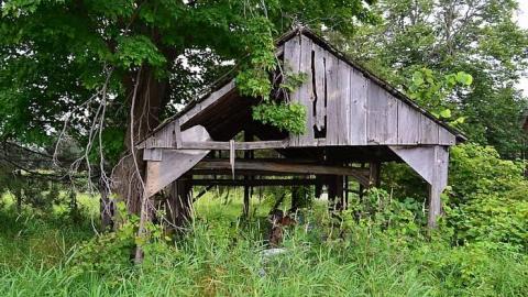 August 2017 - DSC_1314.jpg