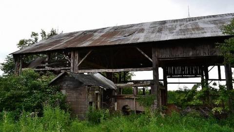 August 2017 - DSC_1315.jpg