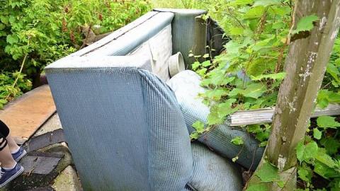 Photo from August 2017