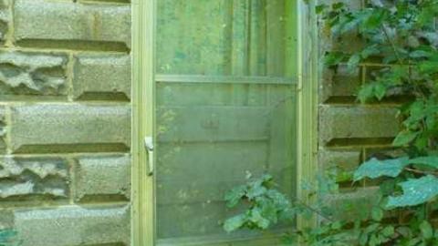 Longford Mills - Longford-Mills-(Historic-site)6.jpg