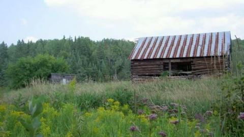 Folger in your cup - Folger-(ghost-town)-K-and-P16.jpg