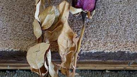 Deposit Keys '17 - DSC05089.jpg