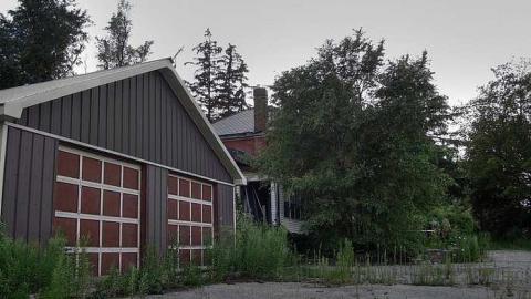 Photo from Treed Heavily