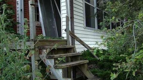 Treed Heavily - 4.jpg