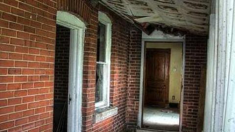 Treed Heavily - 4a.jpg