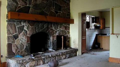 Treed Heavily - 5.jpg