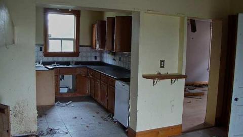 Treed Heavily - 5a.jpg