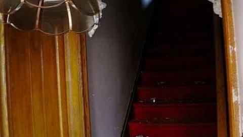 Photo from Treed Heavily