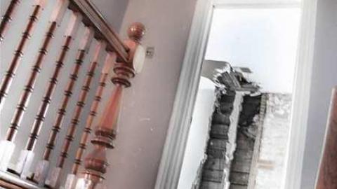 Treed Heavily - 6a.jpg