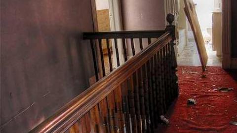 Treed Heavily - 7.jpg