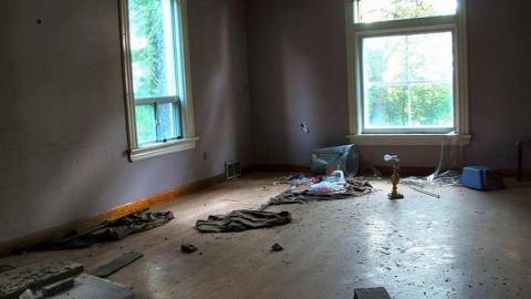 Photo from Treed Heavily