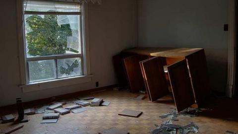 Treed Heavily - 8a.jpg