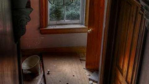 Treed Heavily - 9.jpg