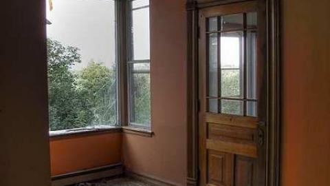 Treed Heavily - 9a.jpg