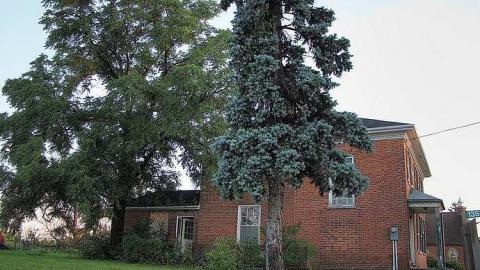 Outhouse Sorrow - Out-(let)-House7.jpg