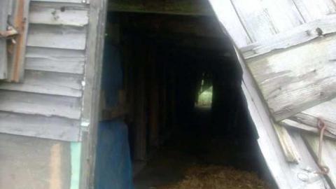 Old and Good - Old-and-Good83.jpg