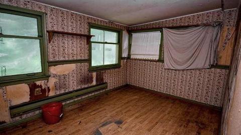 Little Grey House - IMG_0367s.jpg