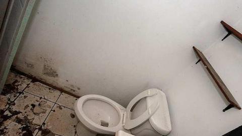 Little Grey House - IMG_0374s.jpg