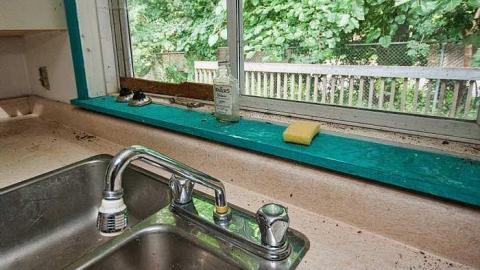 Little Grey House - IMG_0376s.jpg