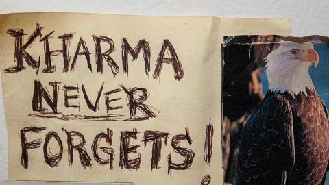 Little Grey House - Toronto, Ontario