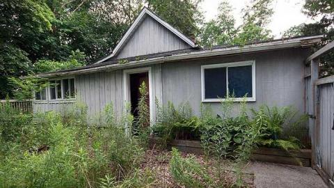 Little Grey House - IMG_0402s.jpg