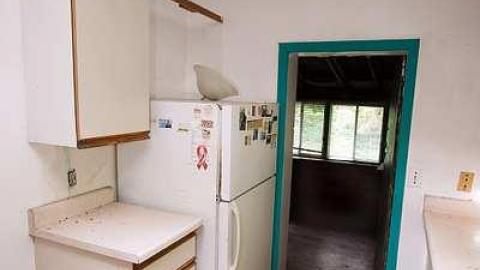 Little Grey House - IMG_0415s.jpg