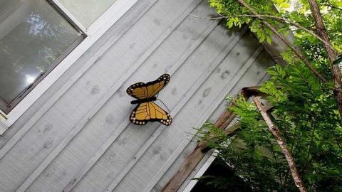 Little Grey House - IMG_3996s.jpg